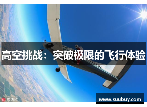 高空挑战：突破极限的飞行体验